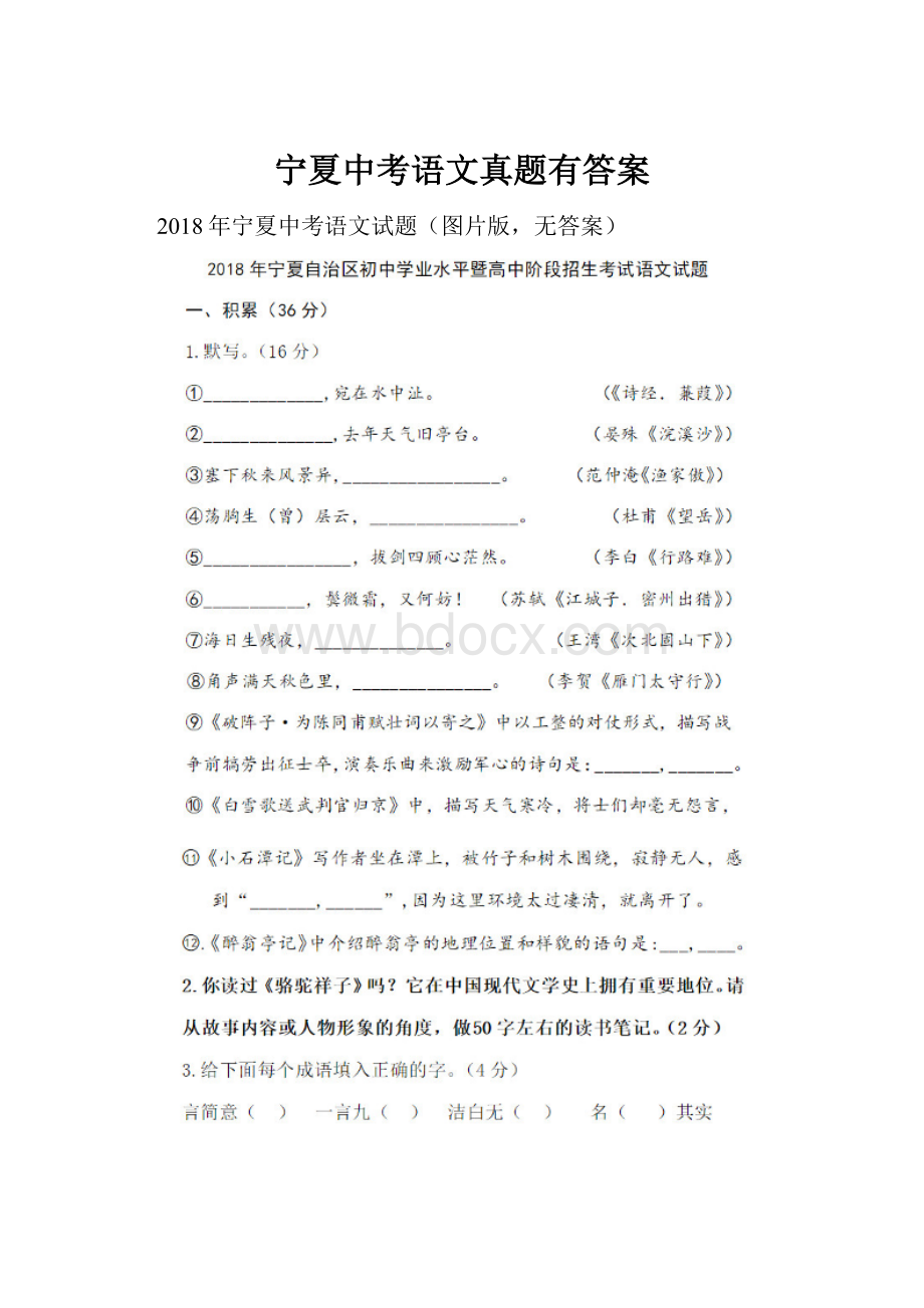 宁夏中考语文真题有答案.docx