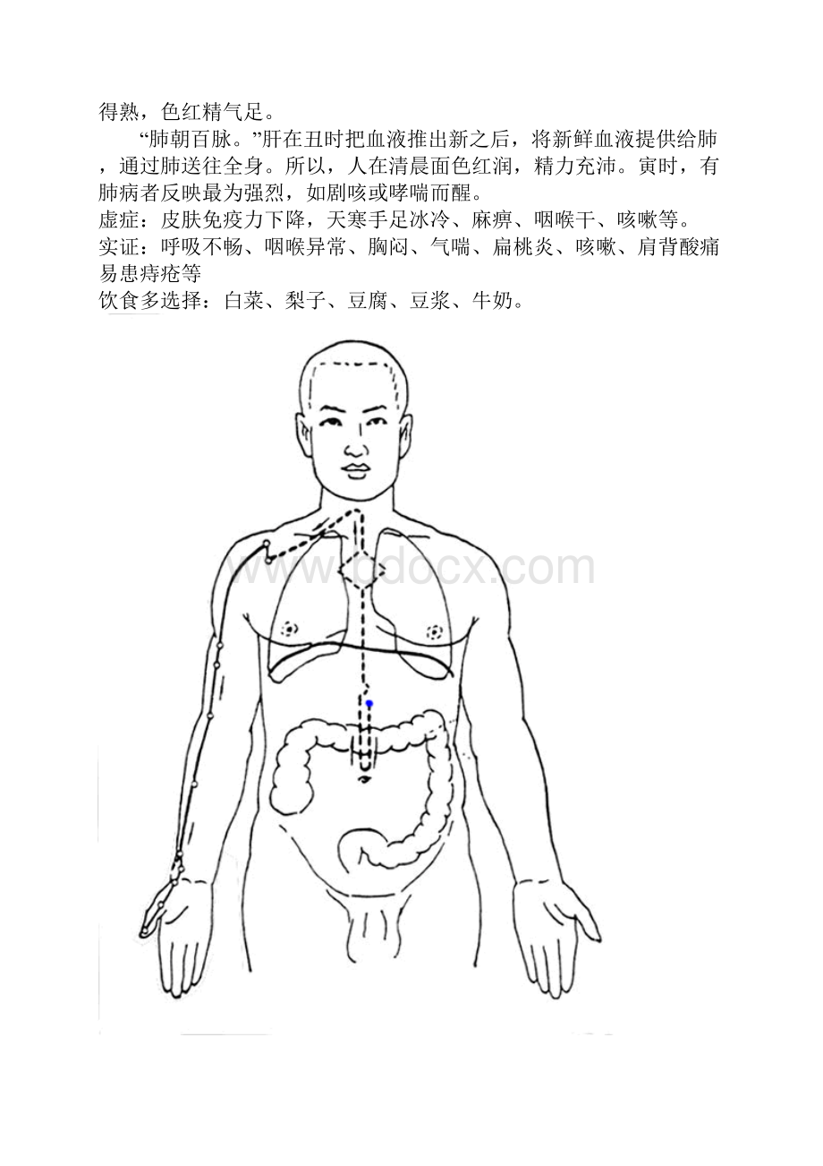 十二经脉走向图及与时辰地关系.docx_第2页