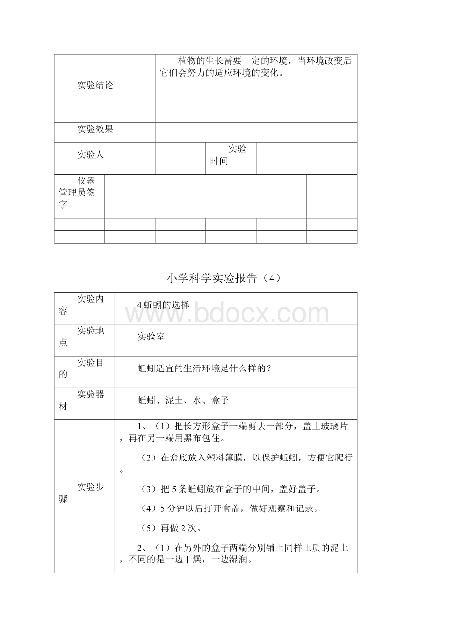 五年实验报告.docx_第3页