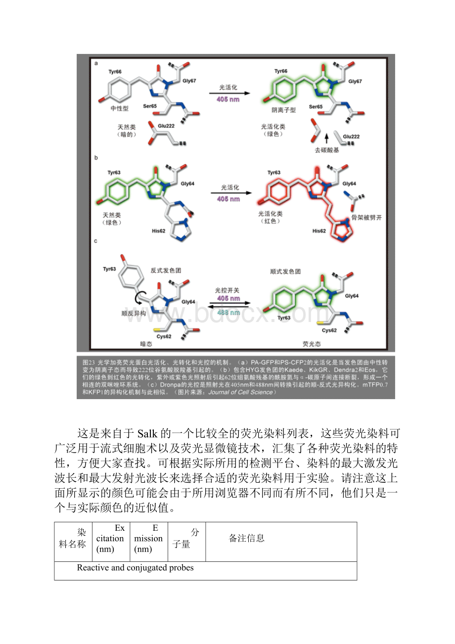 常用荧光染料探针列表.docx_第2页