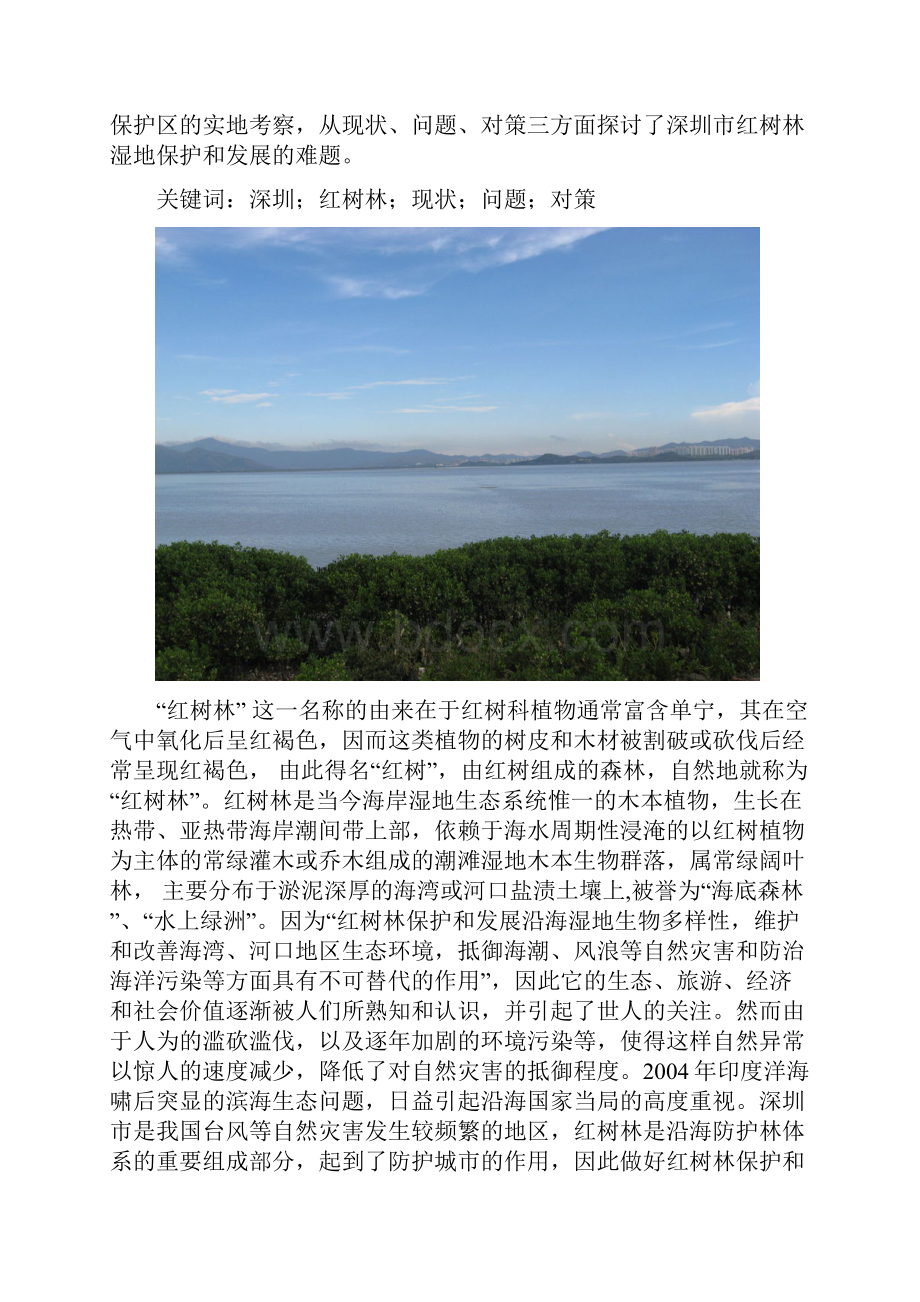 深圳市红树林自然保护区现状之欧阳化创编.docx_第2页