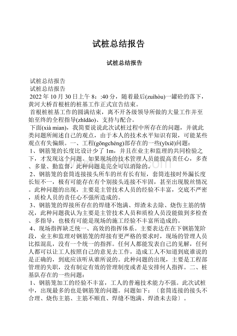 试桩总结报告.docx_第1页