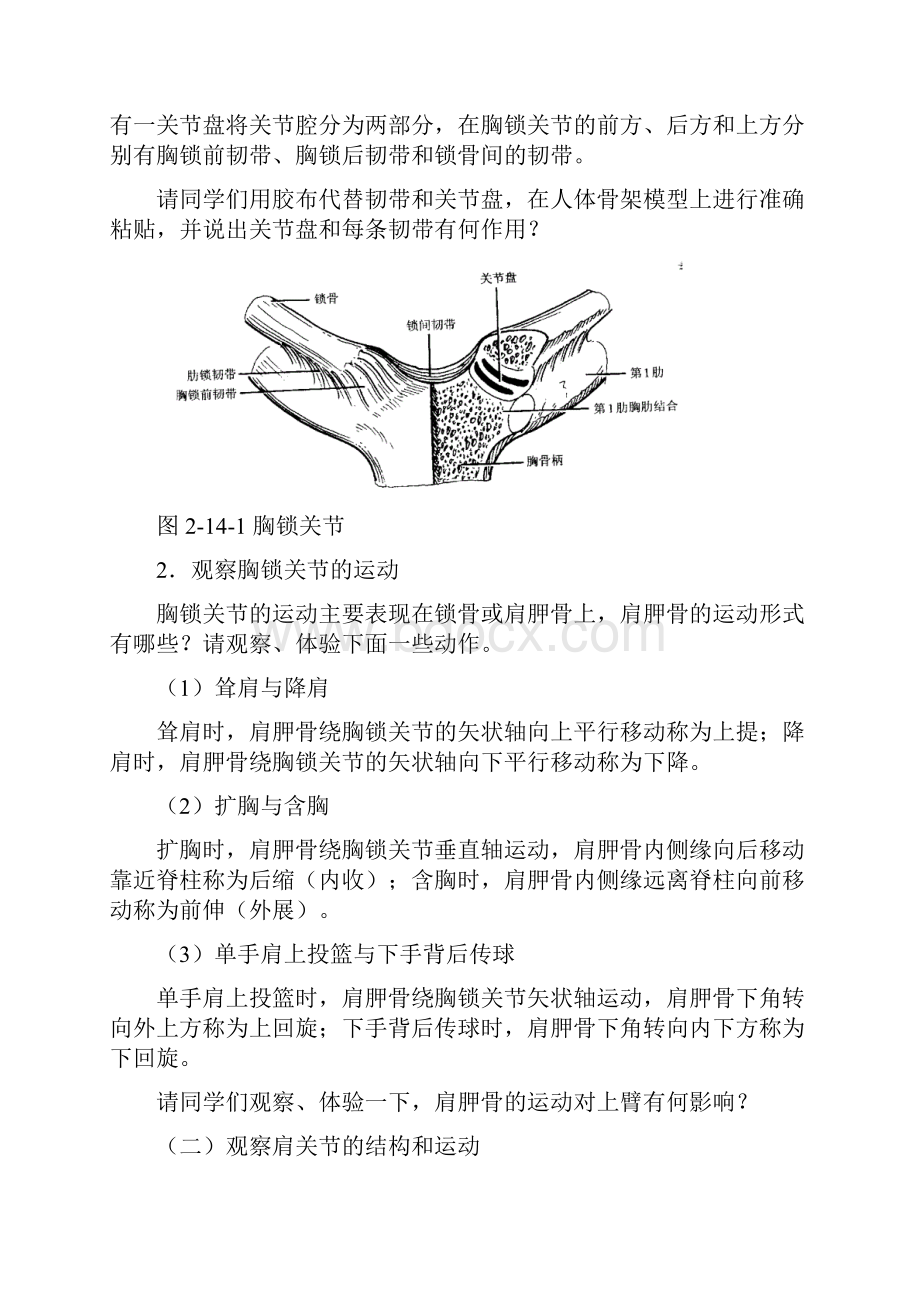 人体解剖学实验十四上肢骨连结和主要作用.docx_第2页