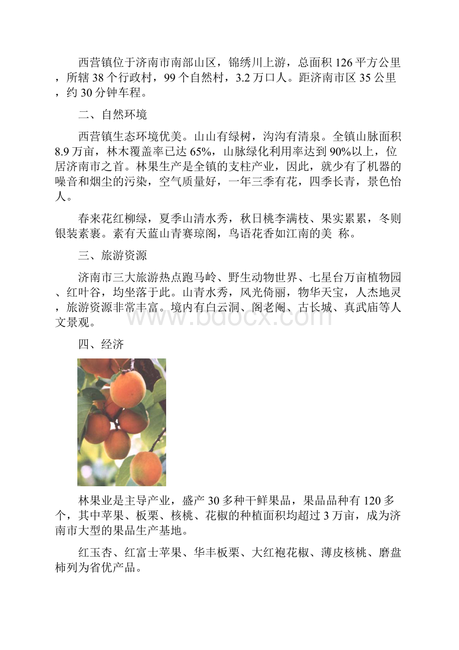 济南市西营镇地块市场分析报告DOC 27页.docx_第2页