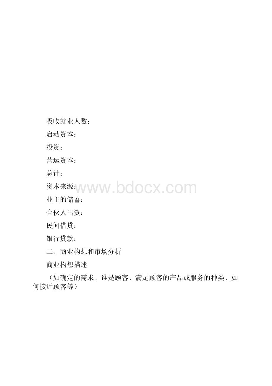 标准商业计划书.docx_第3页