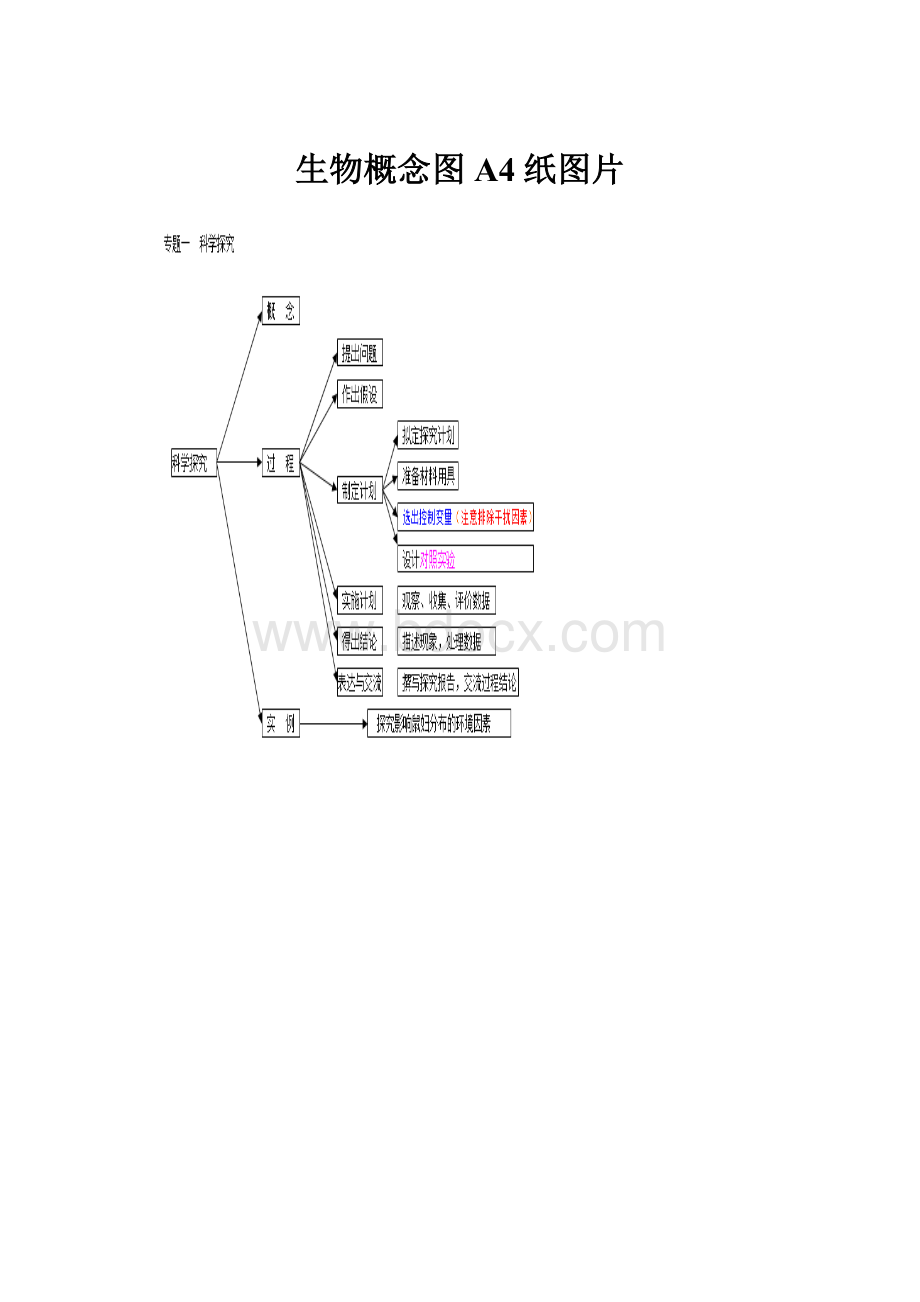 生物概念图A4纸图片.docx