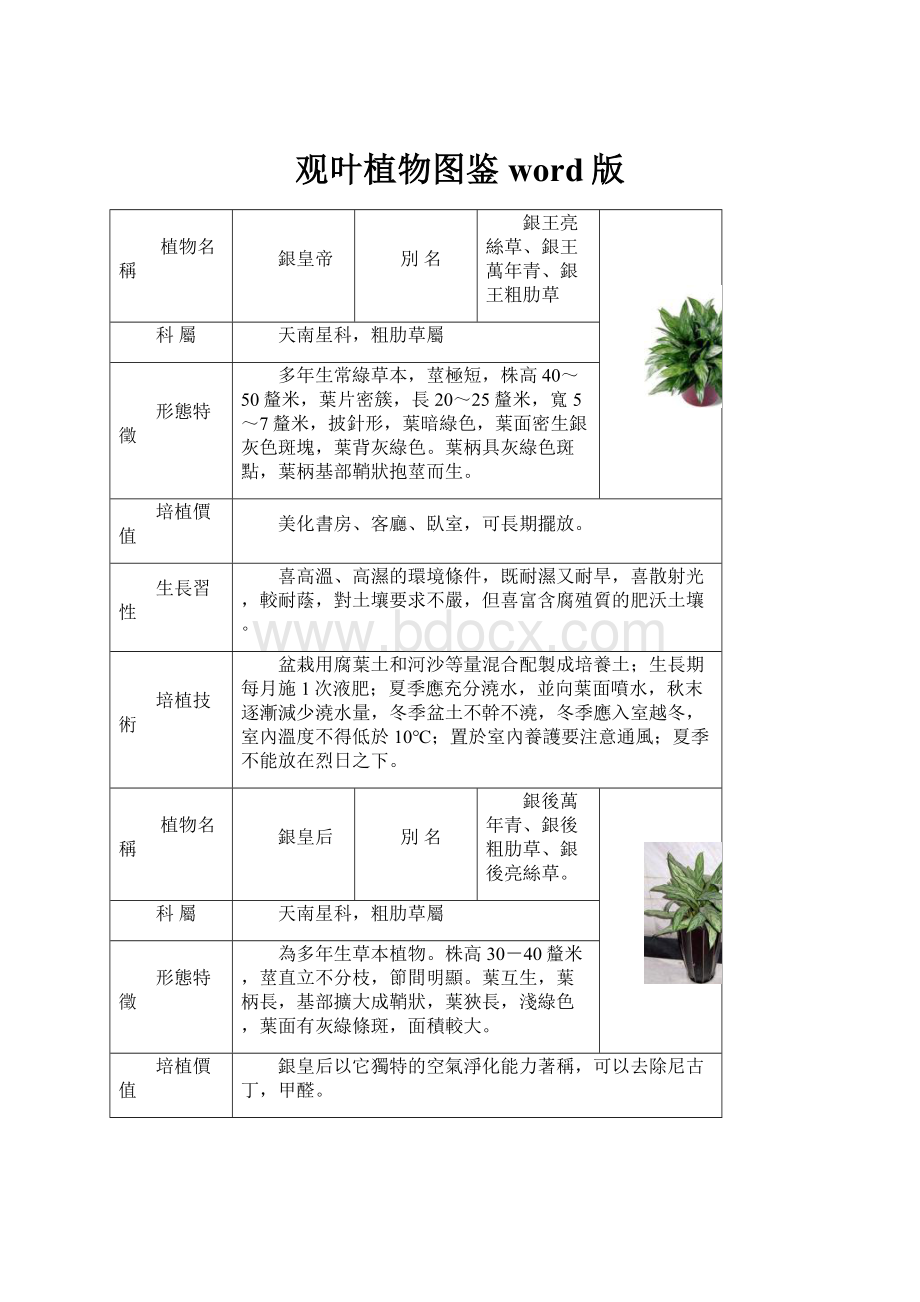 观叶植物图鉴word版.docx_第1页