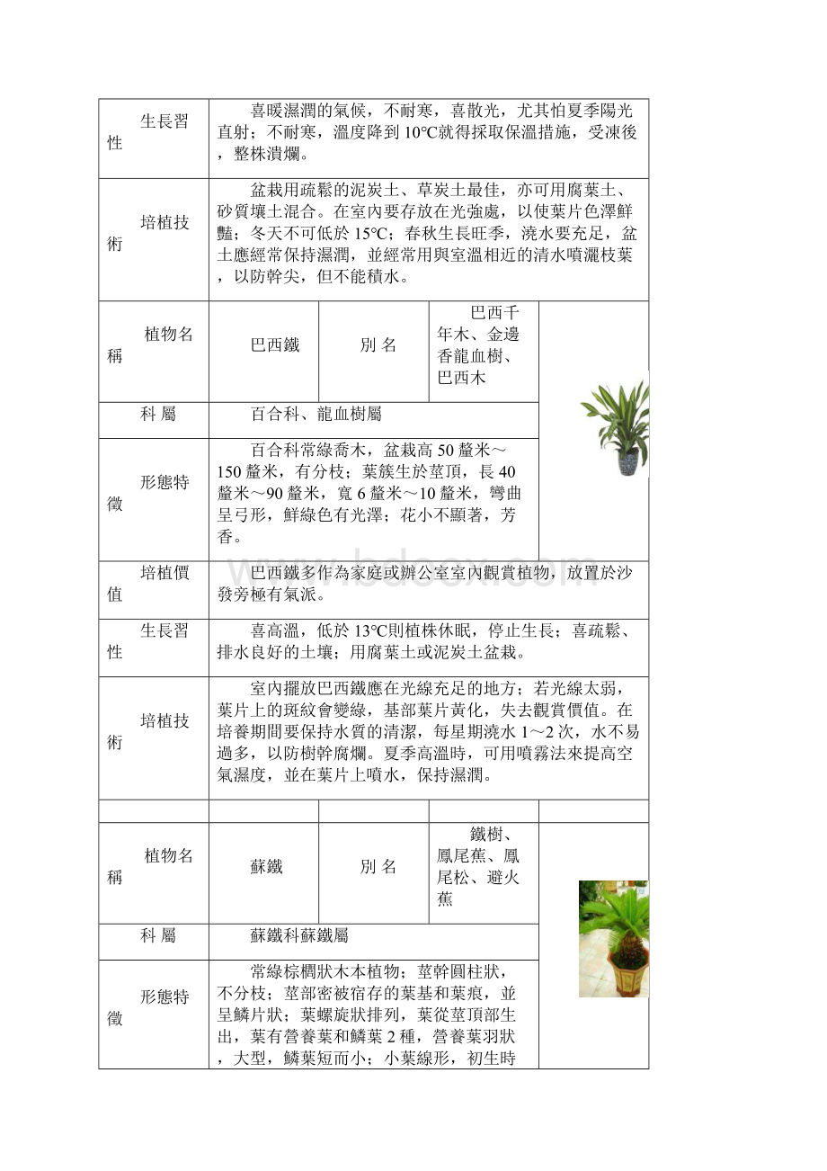 观叶植物图鉴word版.docx_第2页