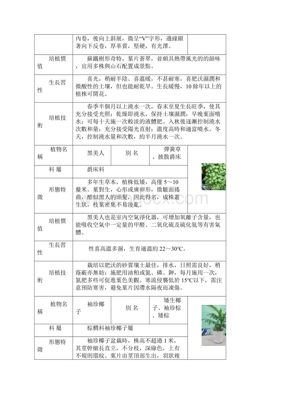 观叶植物图鉴word版.docx_第3页