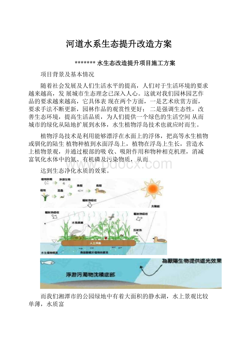 河道水系生态提升改造方案.docx_第1页