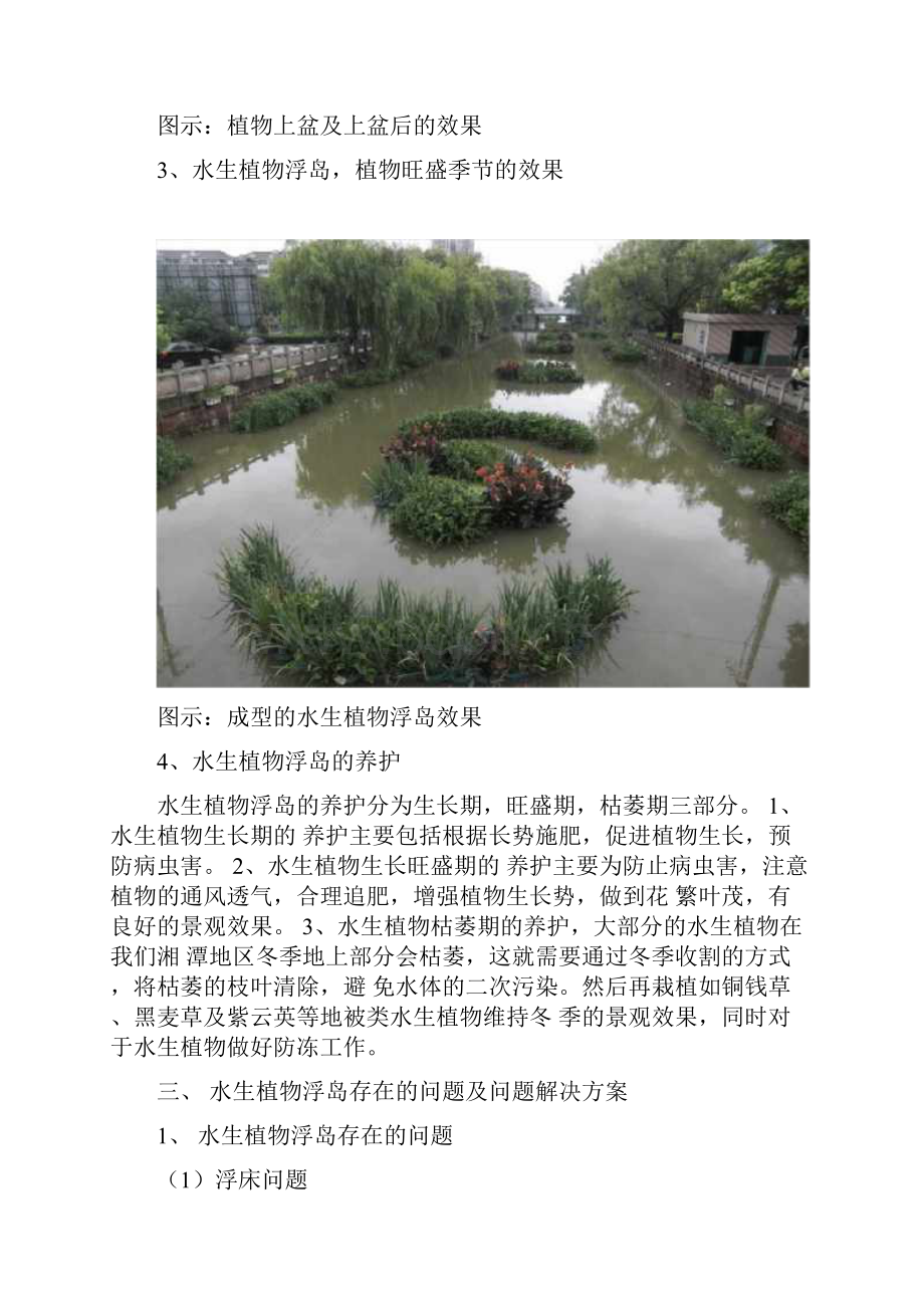 河道水系生态提升改造方案.docx_第3页