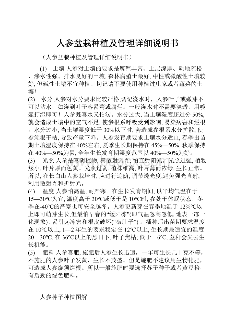 人参盆栽种植及管理详细说明书.docx