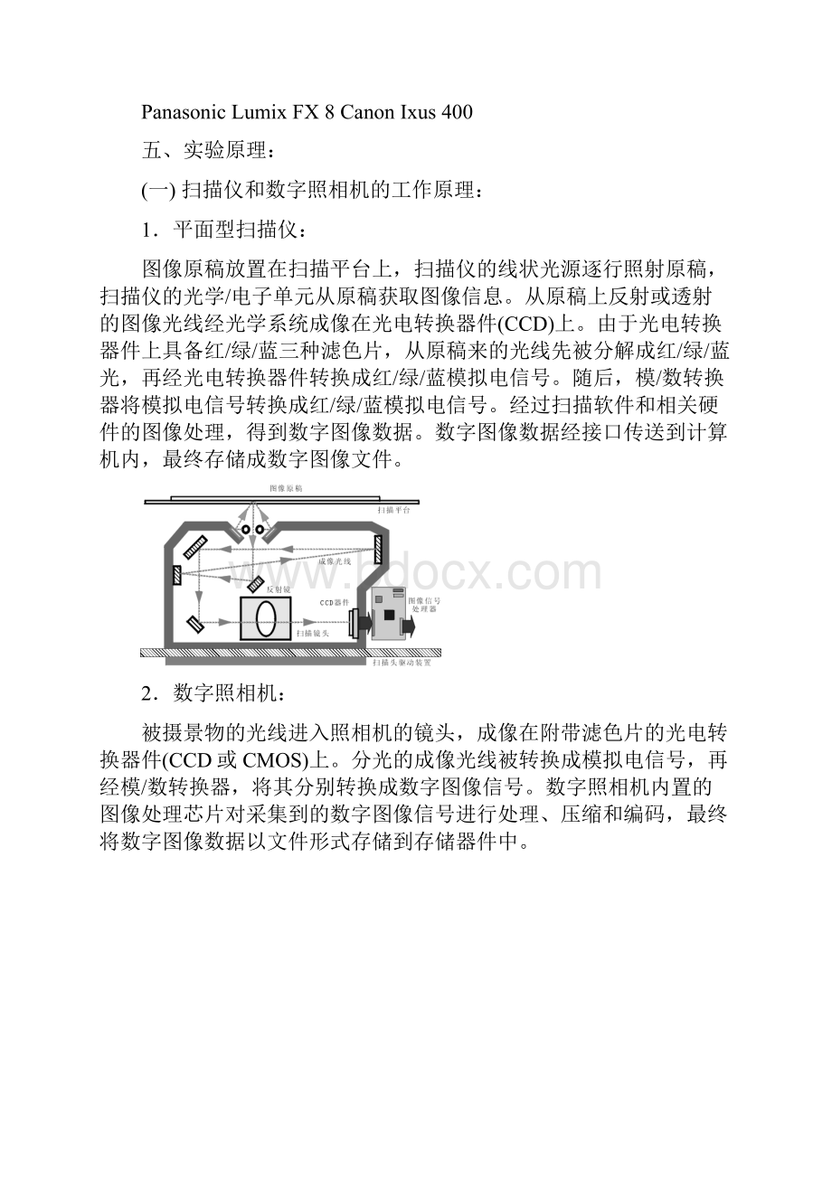 图文信息处理及复制.docx_第3页