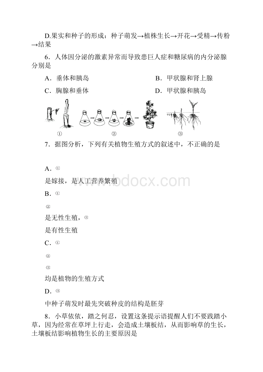 科学仿真题二.docx_第3页