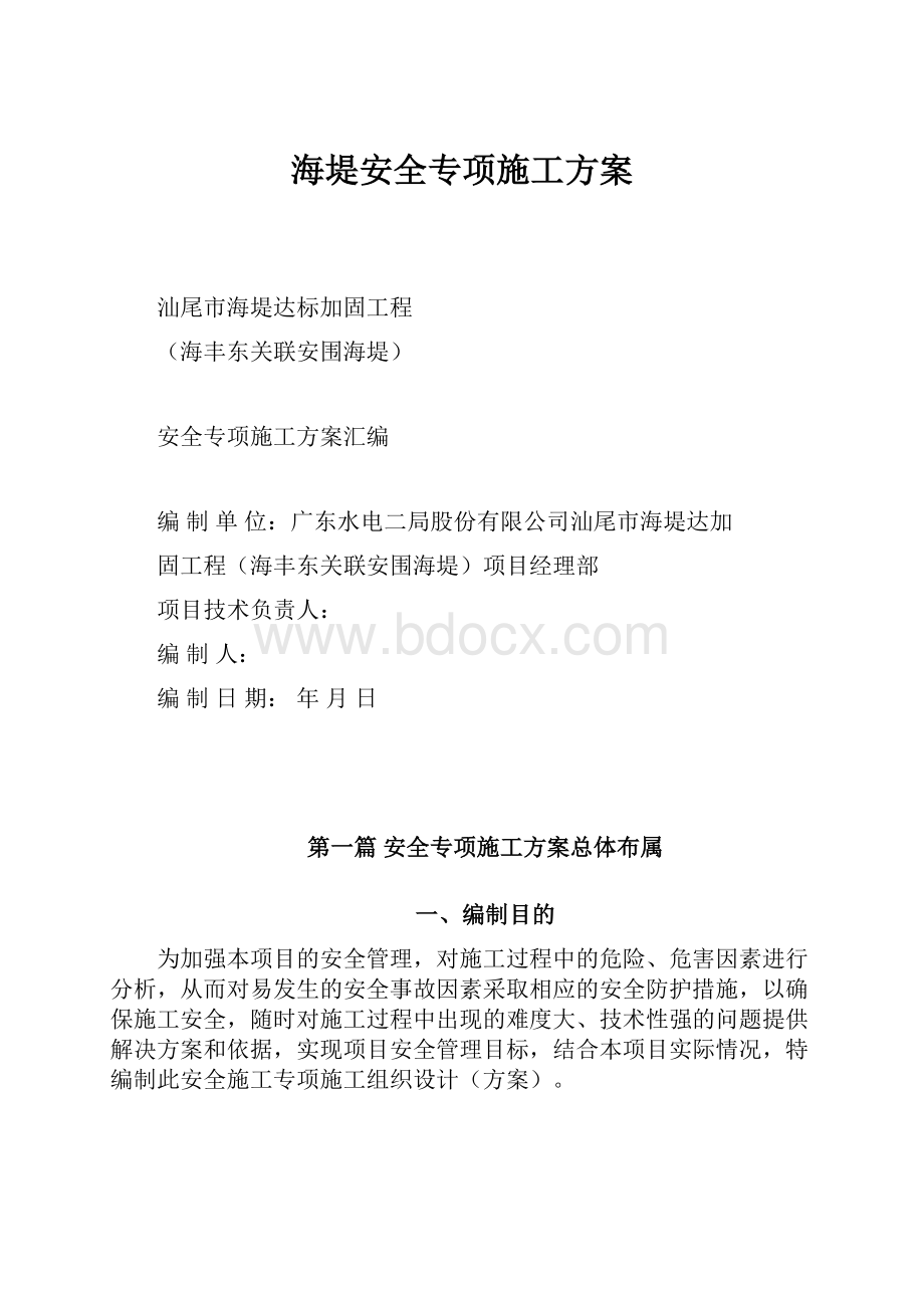 海堤安全专项施工方案.docx_第1页