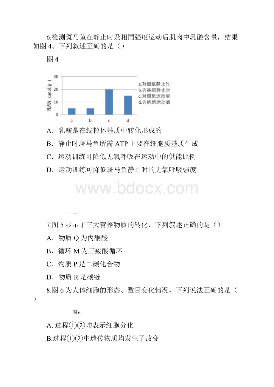 上海市青浦区第一学期高二生命科学期终学业测试有答案.docx_第3页