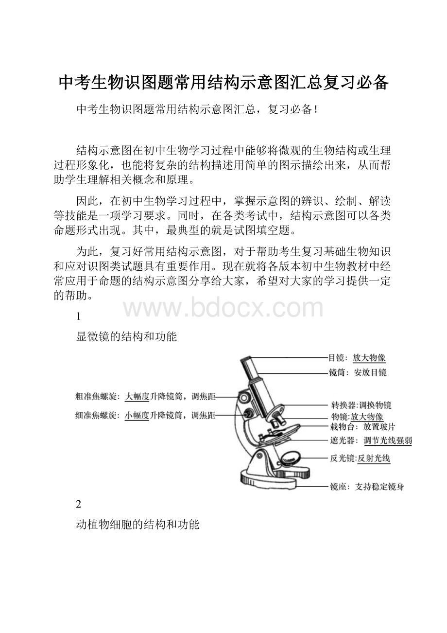 中考生物识图题常用结构示意图汇总复习必备.docx