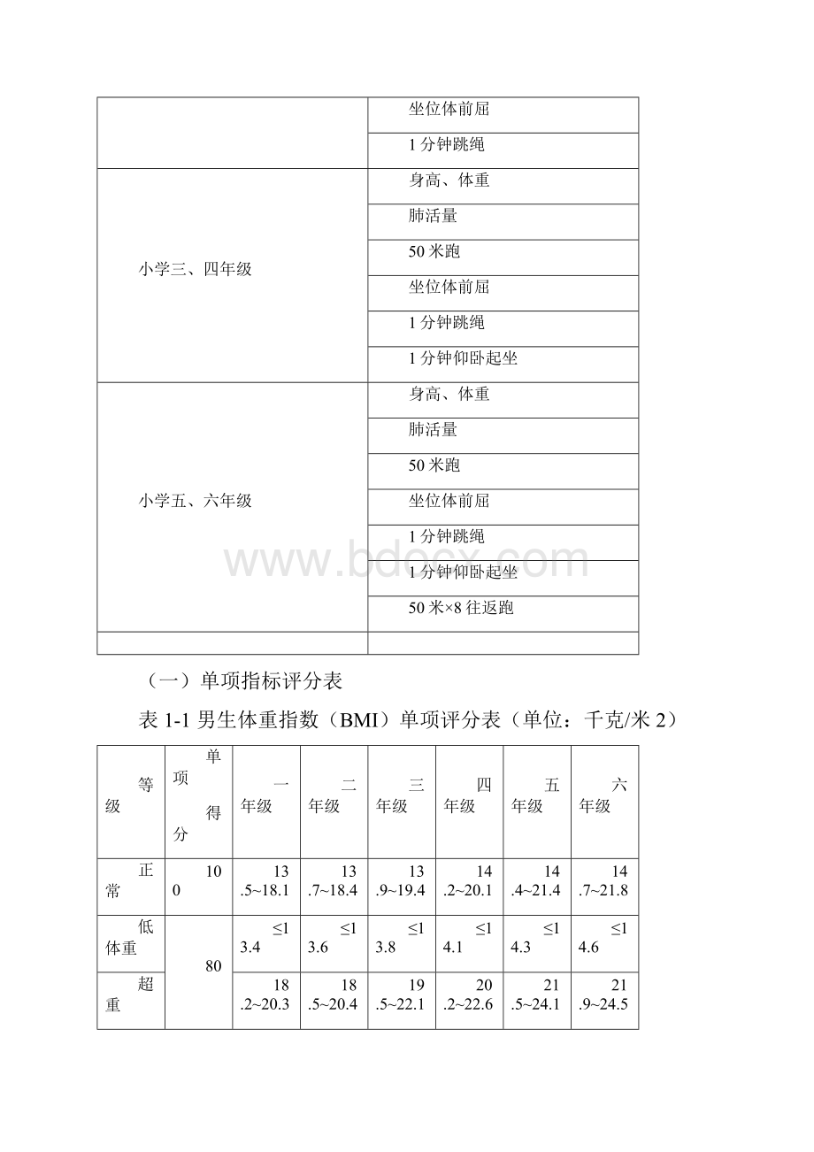 体质健康测试项目及评分实用标准.docx_第3页