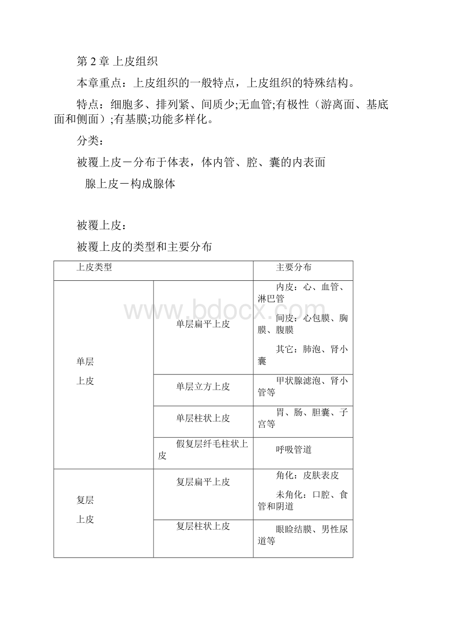 组织学与胚胎学终极版.docx_第3页