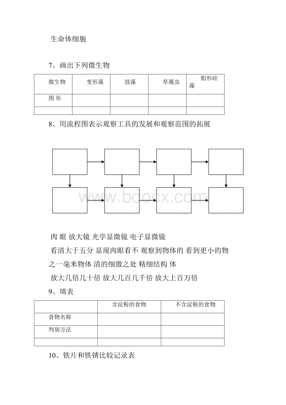 六年级科学下册复习画图与填图和实验题讲解.docx_第3页