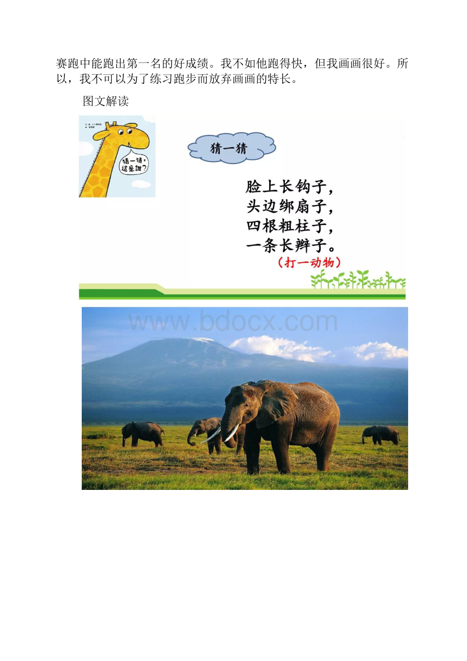 二年级下册语文19大象的耳朵 知识讲解+图文讲解人教部编版.docx_第3页