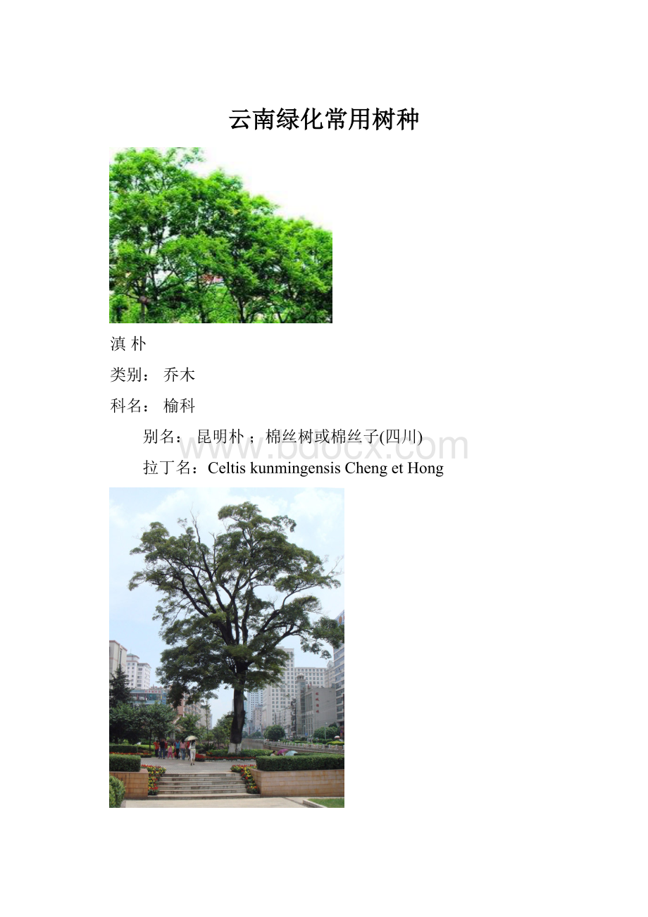 云南绿化常用树种.docx_第1页