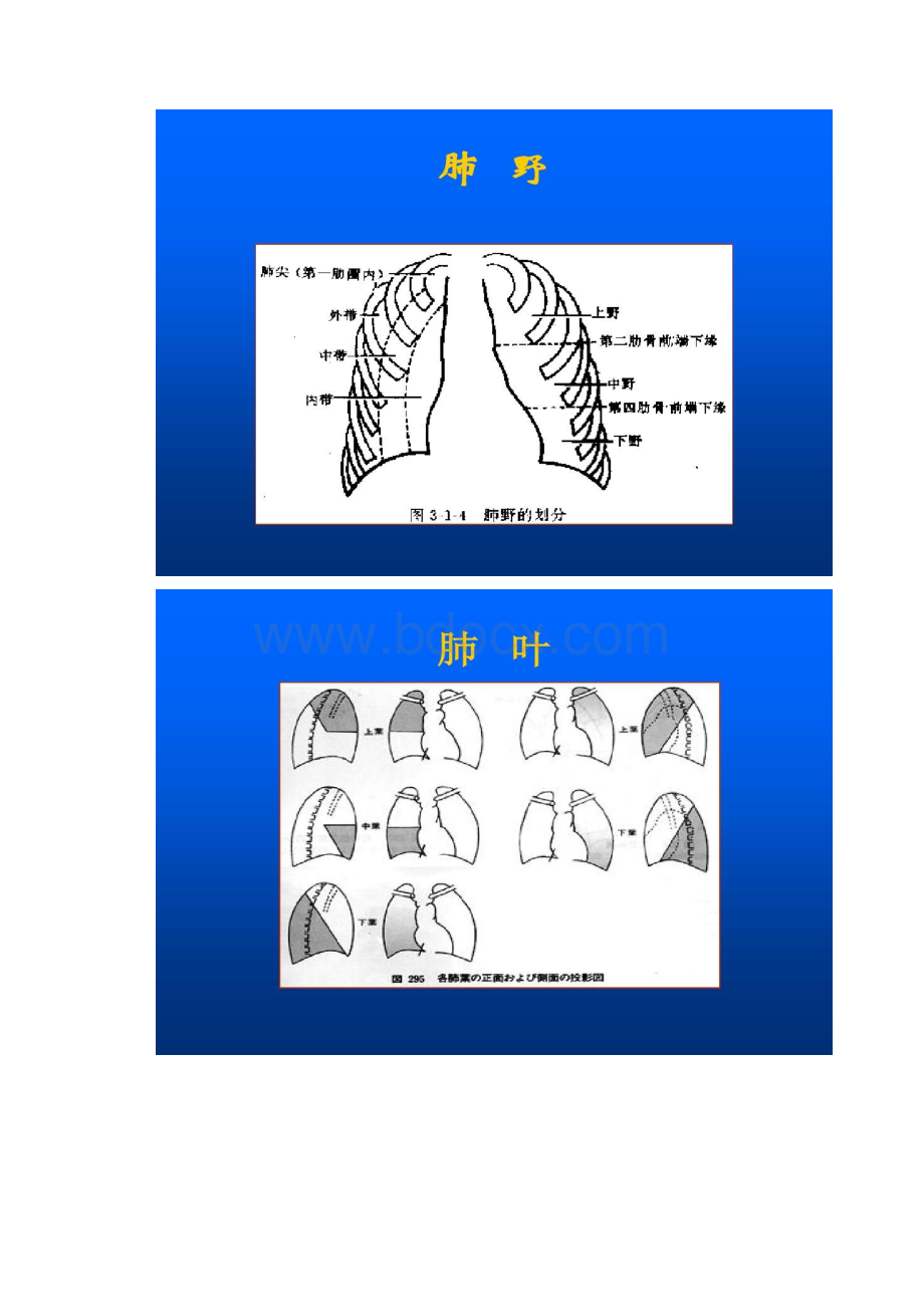 全科医师X线读片精.docx_第2页