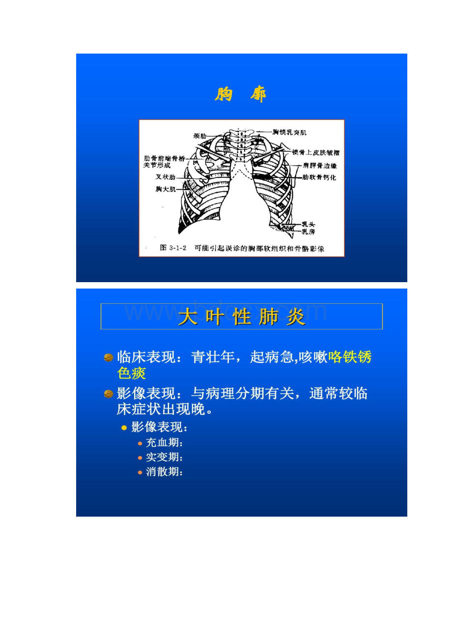 全科医师X线读片精.docx_第3页