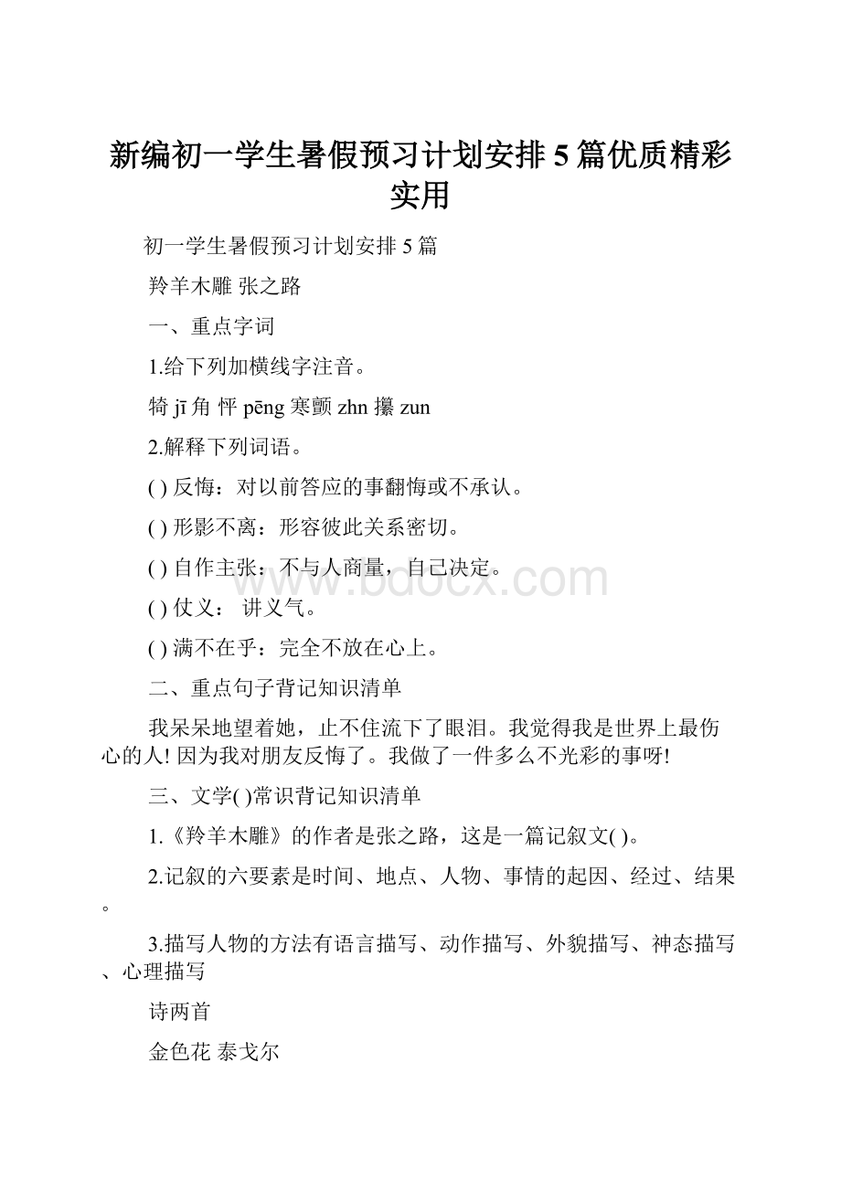 新编初一学生暑假预习计划安排5篇优质精彩实用.docx