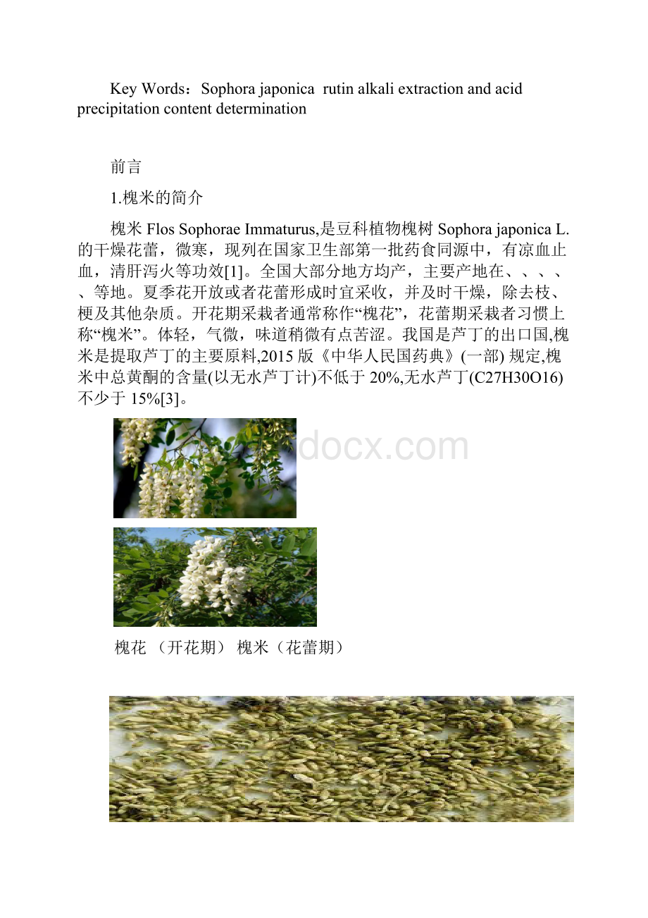 槐米中芦丁地提取及含量测定.docx_第3页