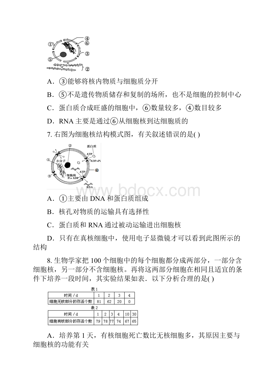 届安徽省铜陵五中高三上学期第二次月考生物试题及.docx_第3页