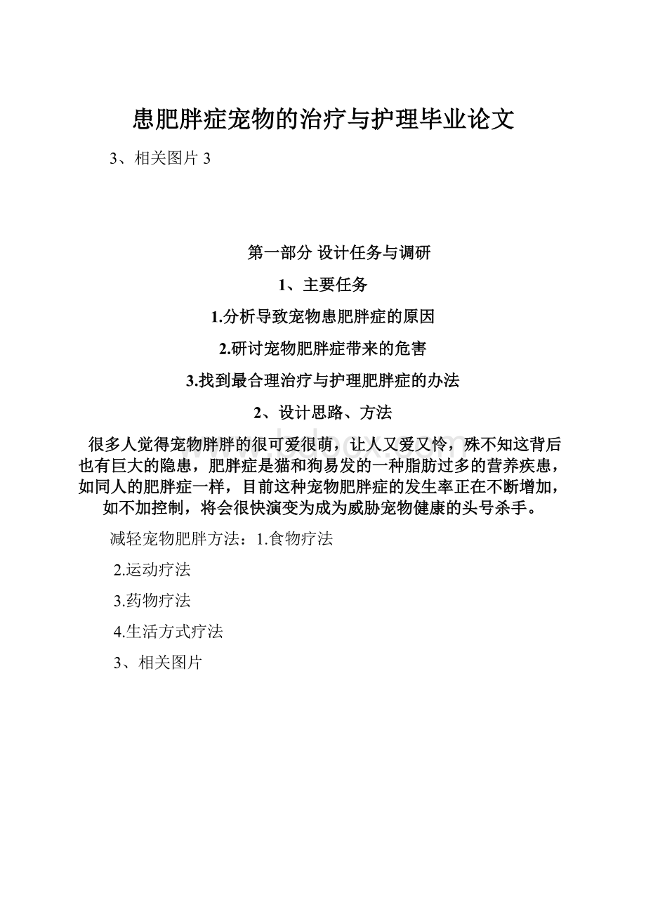 患肥胖症宠物的治疗与护理毕业论文.docx_第1页