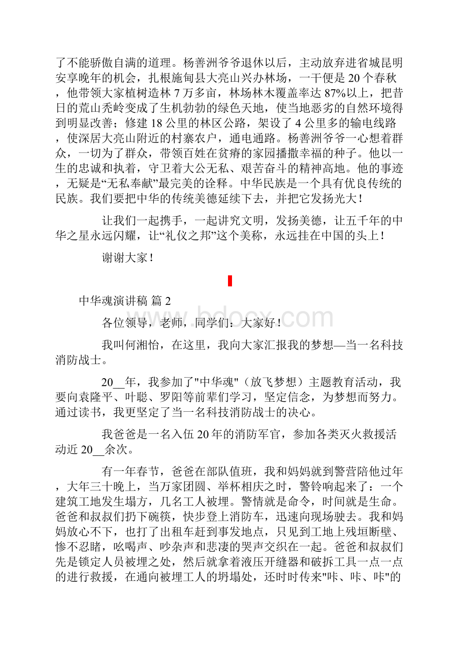 中华魂演讲稿汇总十篇.docx_第2页