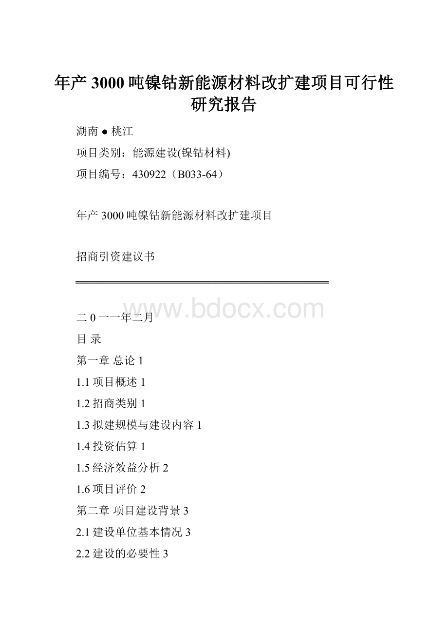 年产3000吨镍钴新能源材料改扩建项目可行性研究报告.docx_第1页