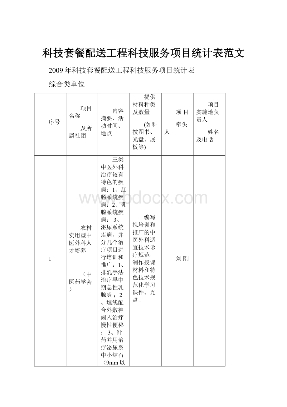 科技套餐配送工程科技服务项目统计表范文.docx_第1页