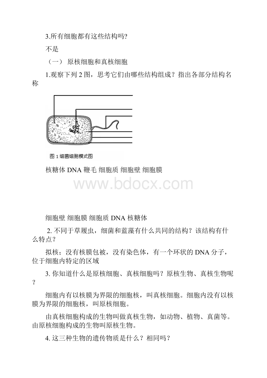 122细胞的多样性和统一性教案.docx_第2页