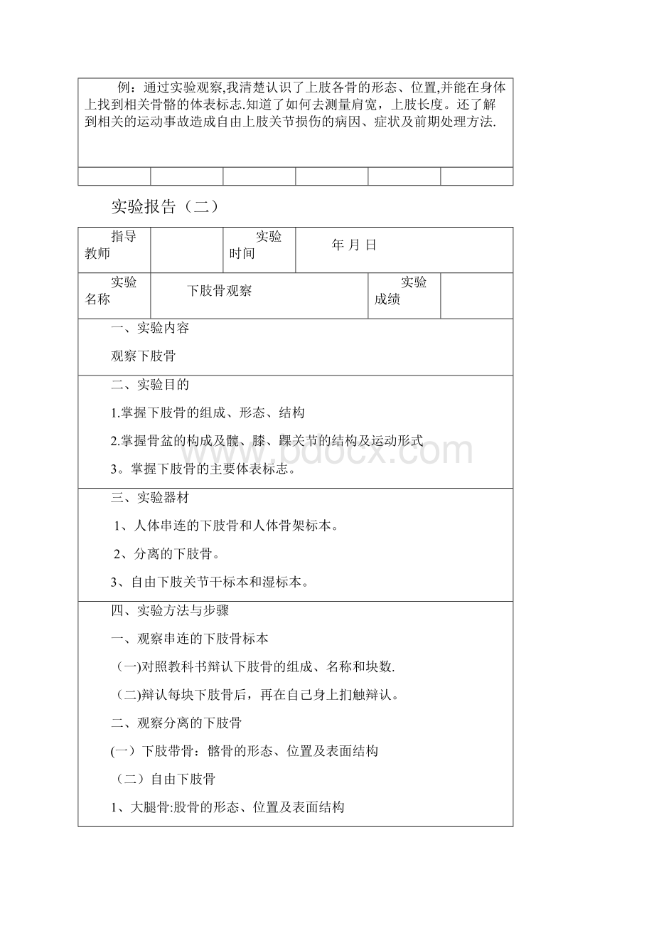 14级运动解剖学实验报告书.docx_第3页