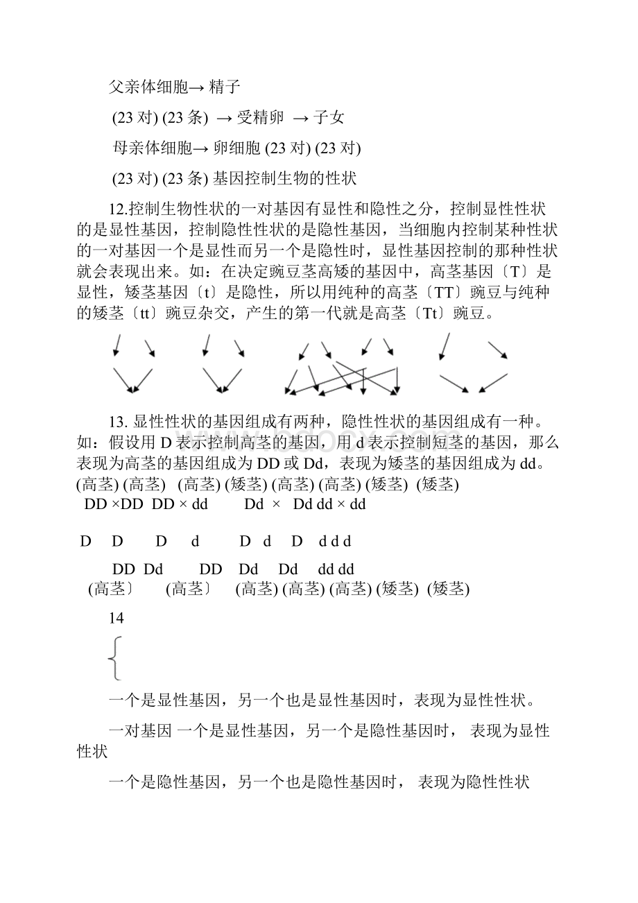 苏科版八年级下册生物知识点汇总.docx_第3页