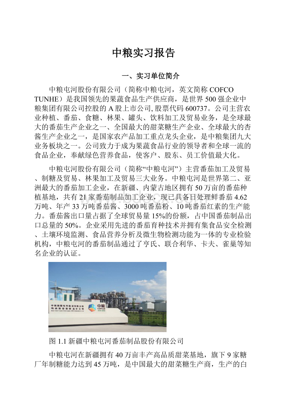 中粮实习报告.docx_第1页