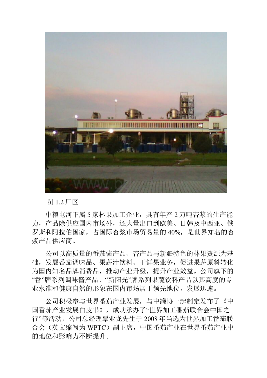 中粮实习报告.docx_第3页