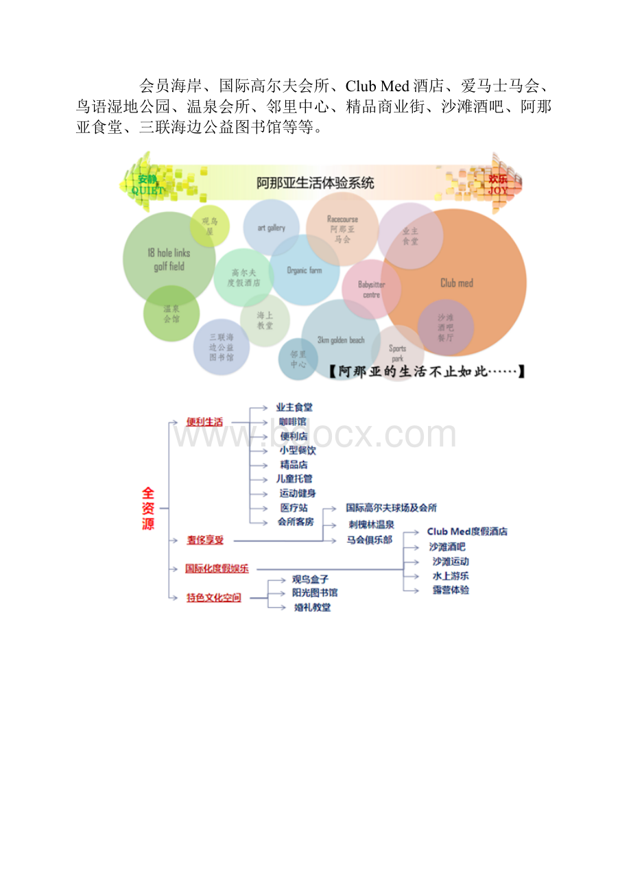 阿那亚解读.docx_第2页