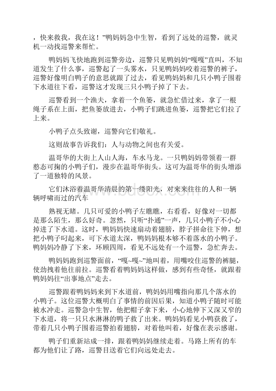 温哥华街头的鸭子作文.docx_第3页