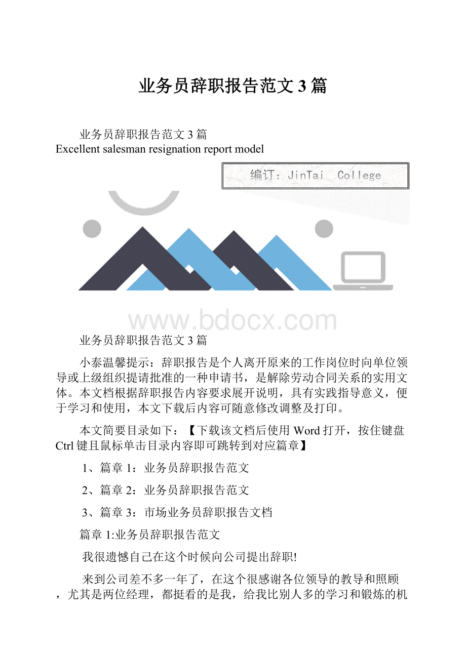 业务员辞职报告范文3篇.docx