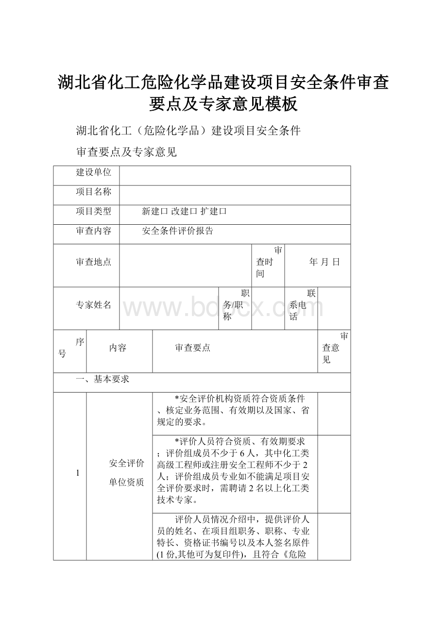 湖北省化工危险化学品建设项目安全条件审查要点及专家意见模板.docx