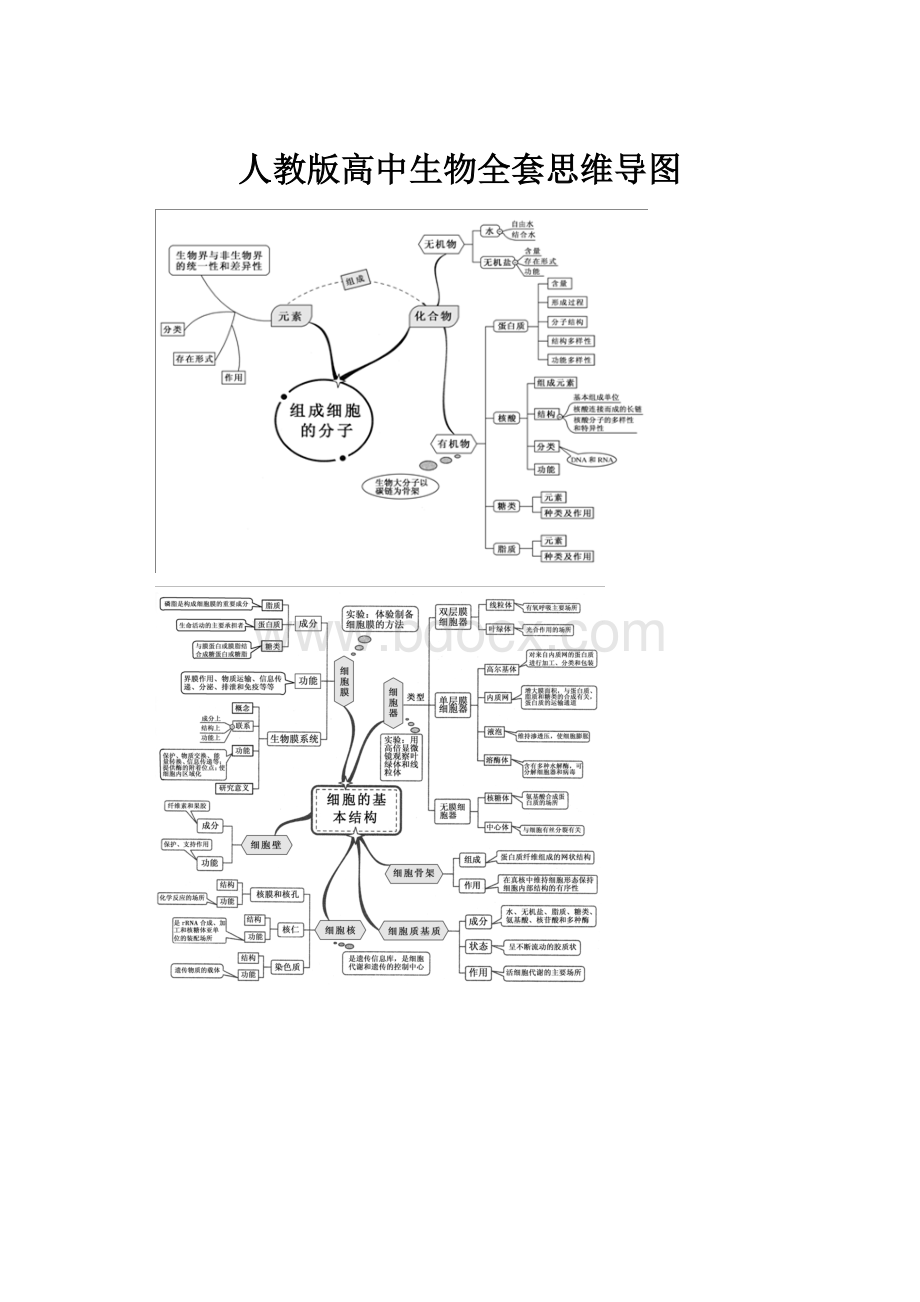 人教版高中生物全套思维导图.docx