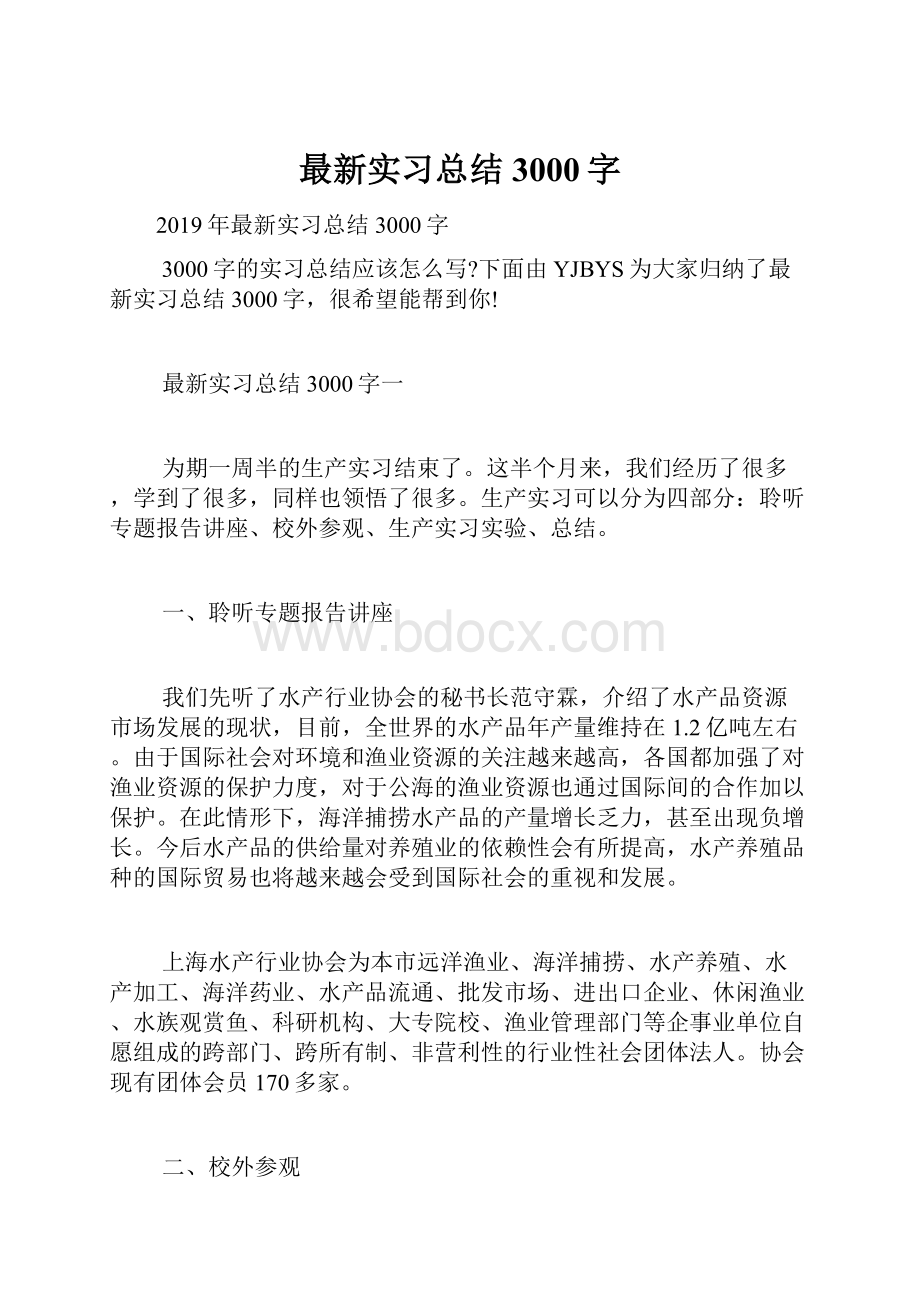 最新实习总结3000字.docx