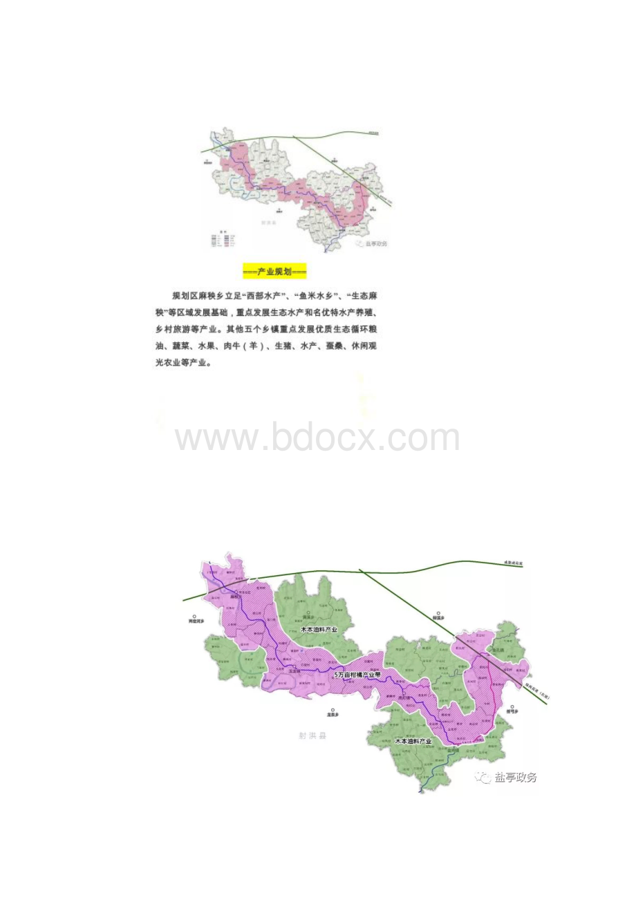 四川省盐亭国家现代农业产业园总体规划.docx_第2页