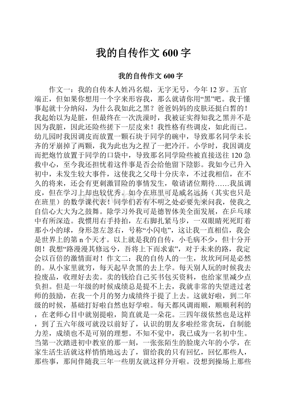 我的自传作文600字.docx