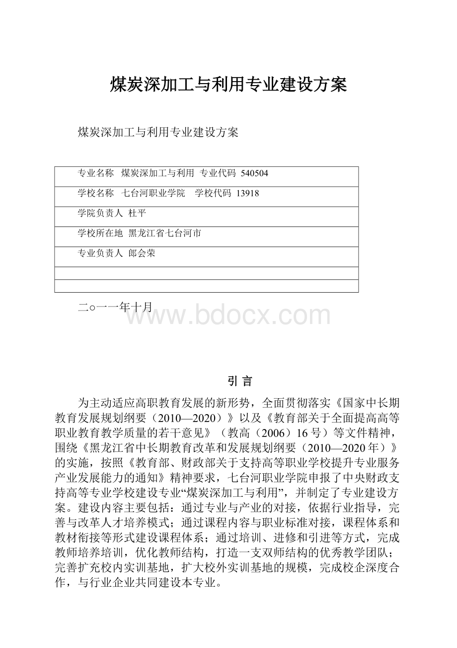 煤炭深加工与利用专业建设方案.docx