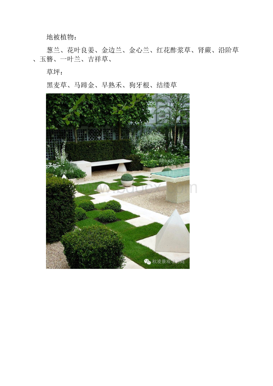 庭院常用植物.docx_第3页